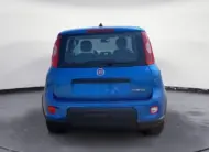 FIAT Panda – NEW My23 1.0 70cv Hybrid